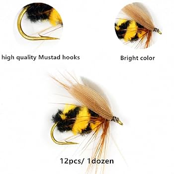 フライルアーセット 多色 ケース付き エギング 入門セット ファイブスター カラフル エギングセット