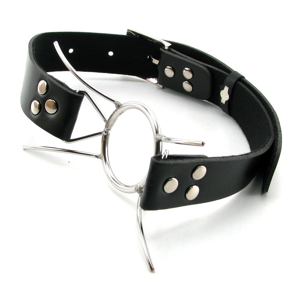 Fetish Fantasy Extreme Spider Gag, Silver