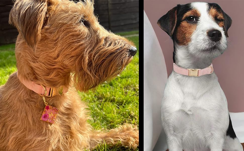 Miniatura 5 de Collar de Algodón Suave para Perro con Hebilla de Metal Ajustable de Servicio Pesado Cómodo Collares de Pana para Perros Pequeños, Medianos y