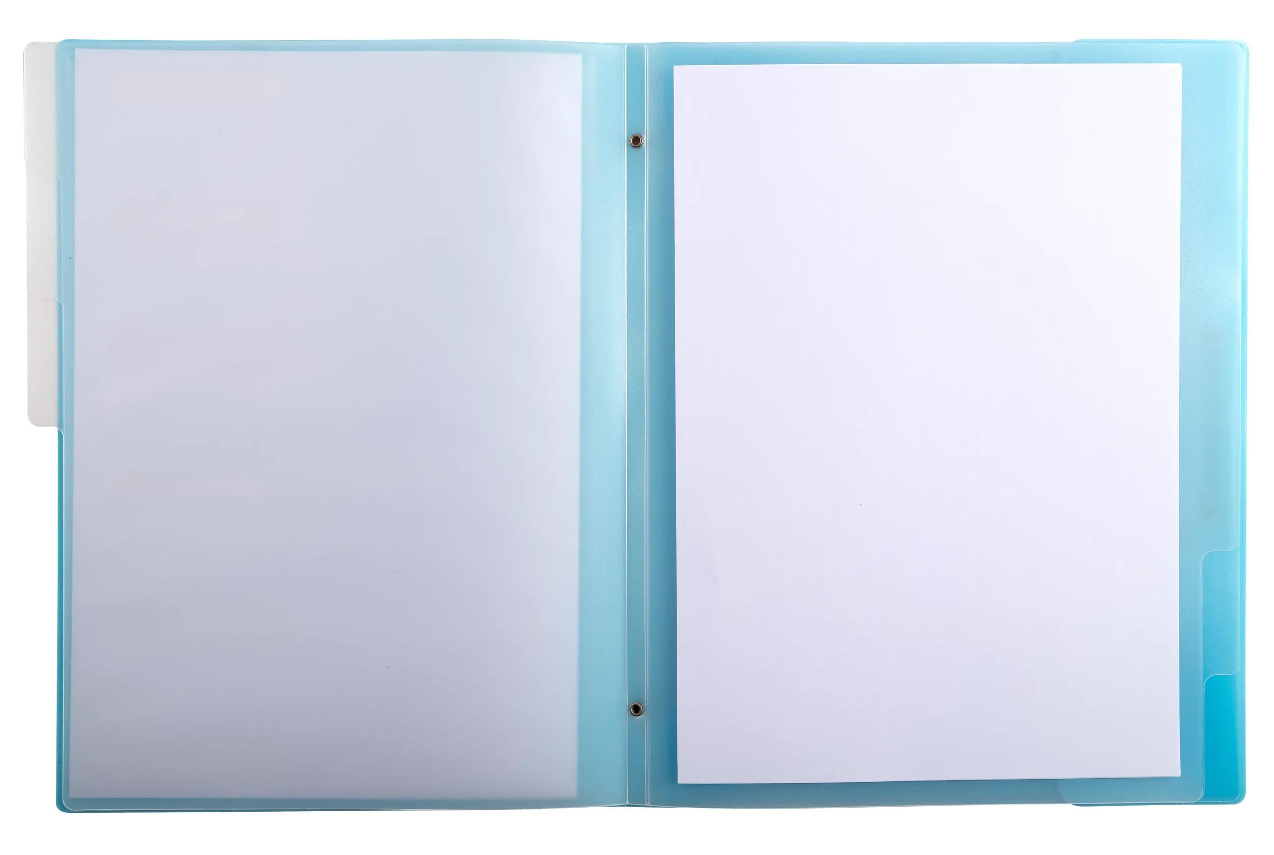 Exacompta - Réf 56170E - Carton de 10 trieurs Chromaline Pastel - 3 rabats - avec élastiques et fenêtres découpées - couverture et intérieur en PP - 6 compartiments - dim 25x32cm - pour A4 - assorties