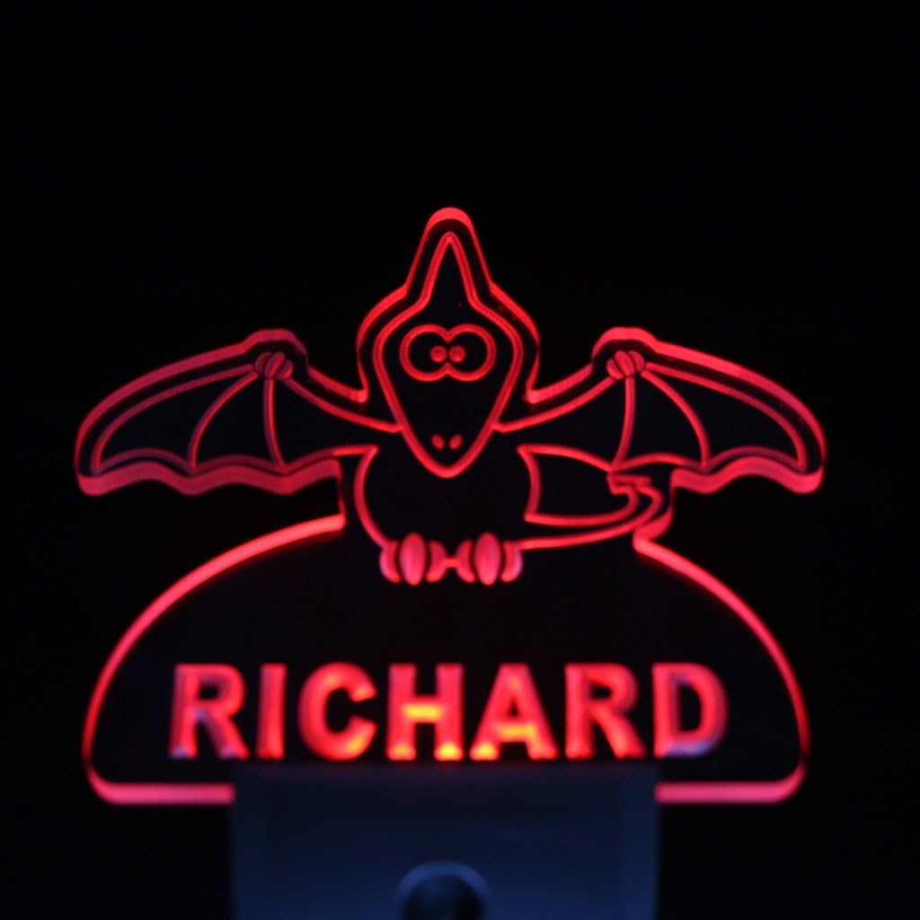 ADVPRO ws1017-tm Pterodactyl Dinosaur Personalized Night Light Baby Kids Name Day Sensor LED Sign