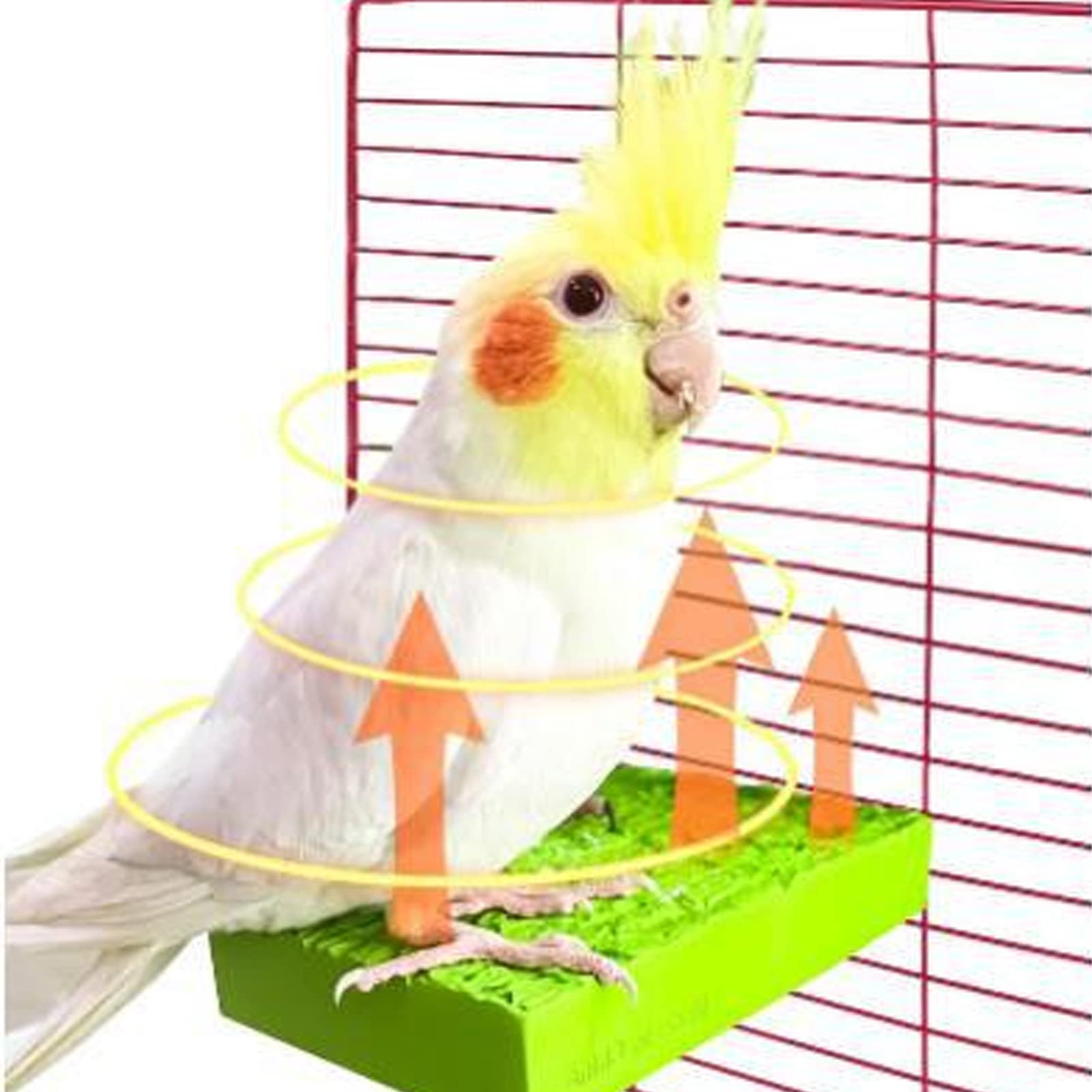 Heizplattform für Vogelstangen, 12 V, 5 W, Kleines Haustier, Warmer Ständer, Vogelheizung für Käfig, Vogelstange, Ständerwärmer, Zum Kuscheln für Graupapageien, Sittiche, Papageien