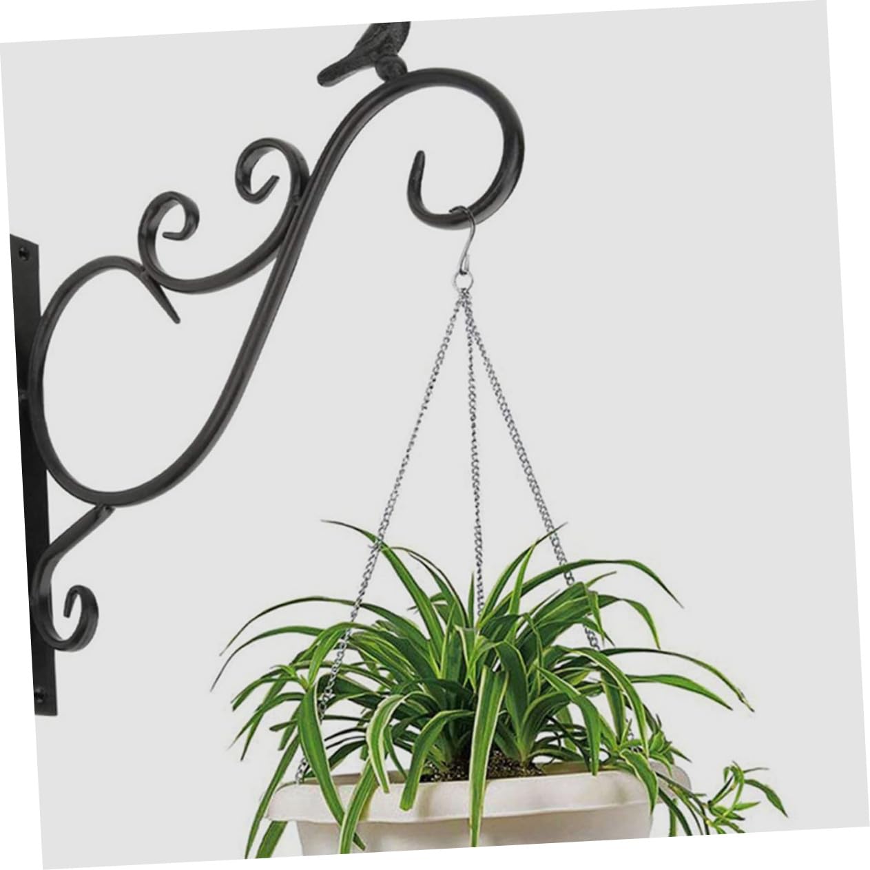 Crochet Mural pour Jardinière Suspendue Noir Fer, Lot de 2 Set de Set