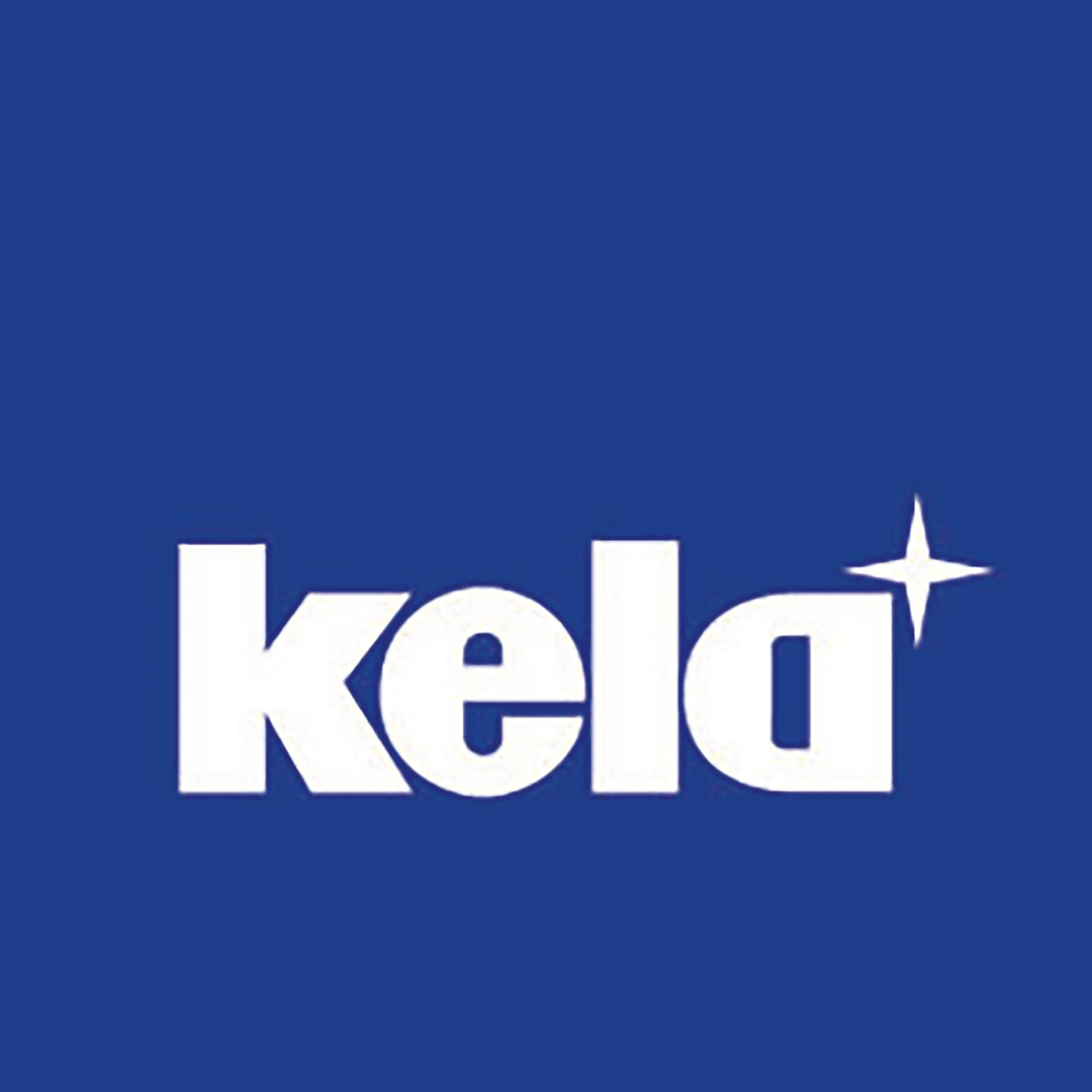 kela teglia con coperchio e pomello aromatico 8 litri KERROS con termometro per arrosti, teglia ovale per induzione, rivestita in alluminio pressofuso, pentola per stufato adatta al forno