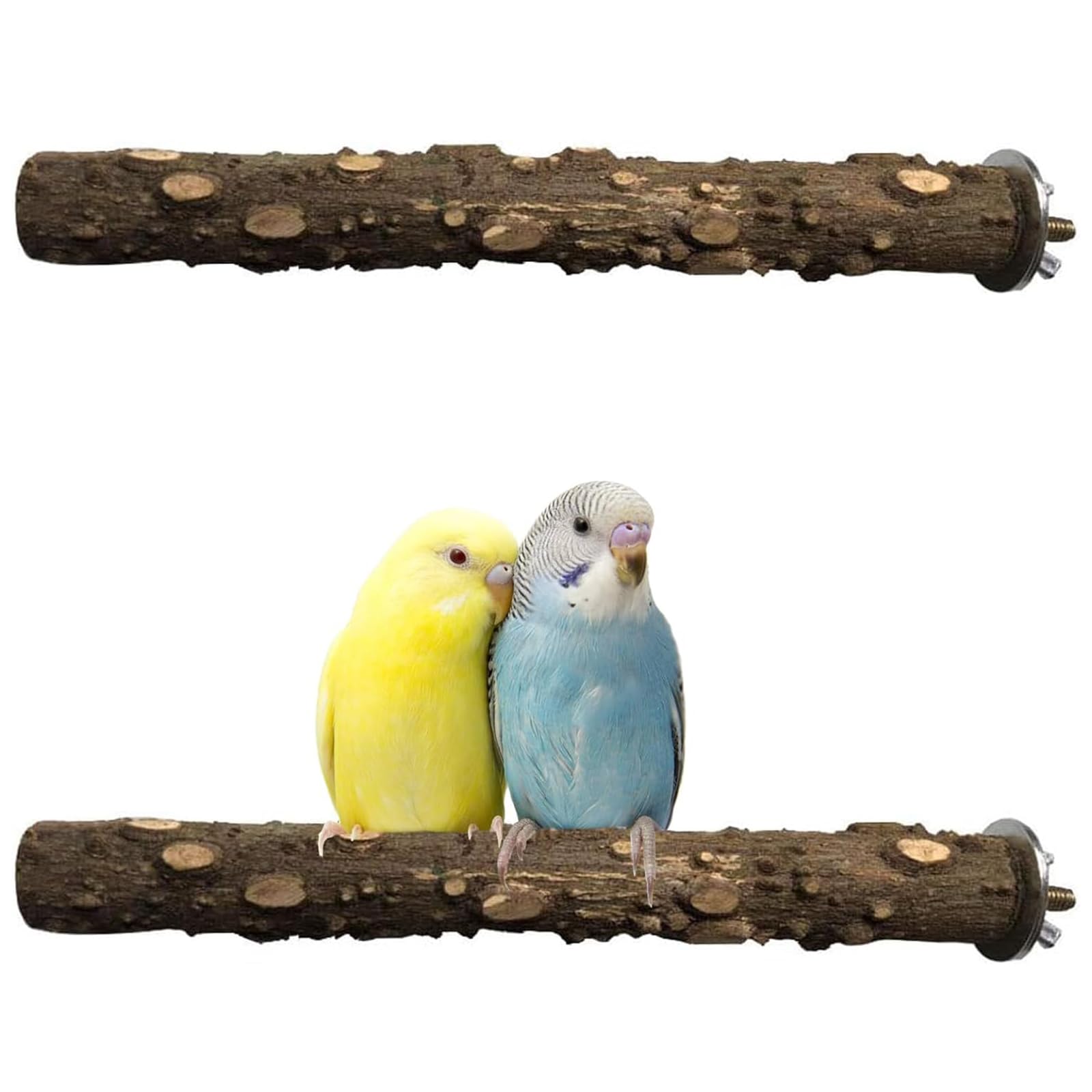 Trespolo Per Pappagalli, Posatoio Per Pappagalli, Gabbia Pappagalli, Giochi Per Pappagalli, 2 Pezzi Posatoi In Legno Naturale, 20cm, Supporto Per Arrampicata Per Parrocchetti