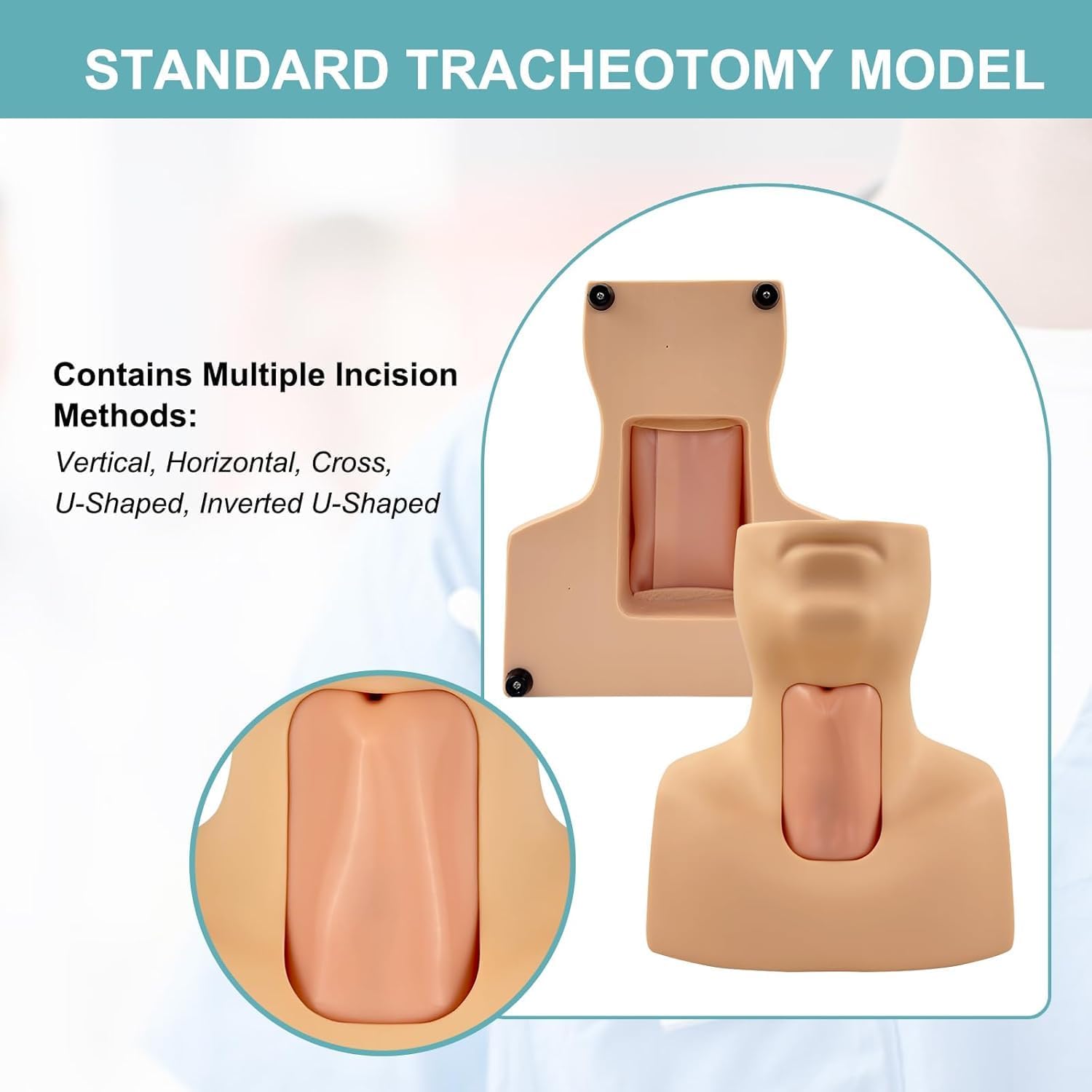 Advanced Tracheostomy Trainer PVC Tracheostomy Simulator for Cricothyrotomy & Tracheotomy Care Training - Medical Teaching Manikin