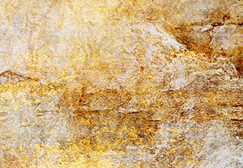 Murando Fotomurali adesivi Textur 196x140 cm carta...