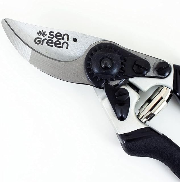 8.5" Professional Bypass Secateurs/Pruning Shears - Super Sharp Chrome Plated Blades | Durable, Comfortable and Strong | Sensei Tools
