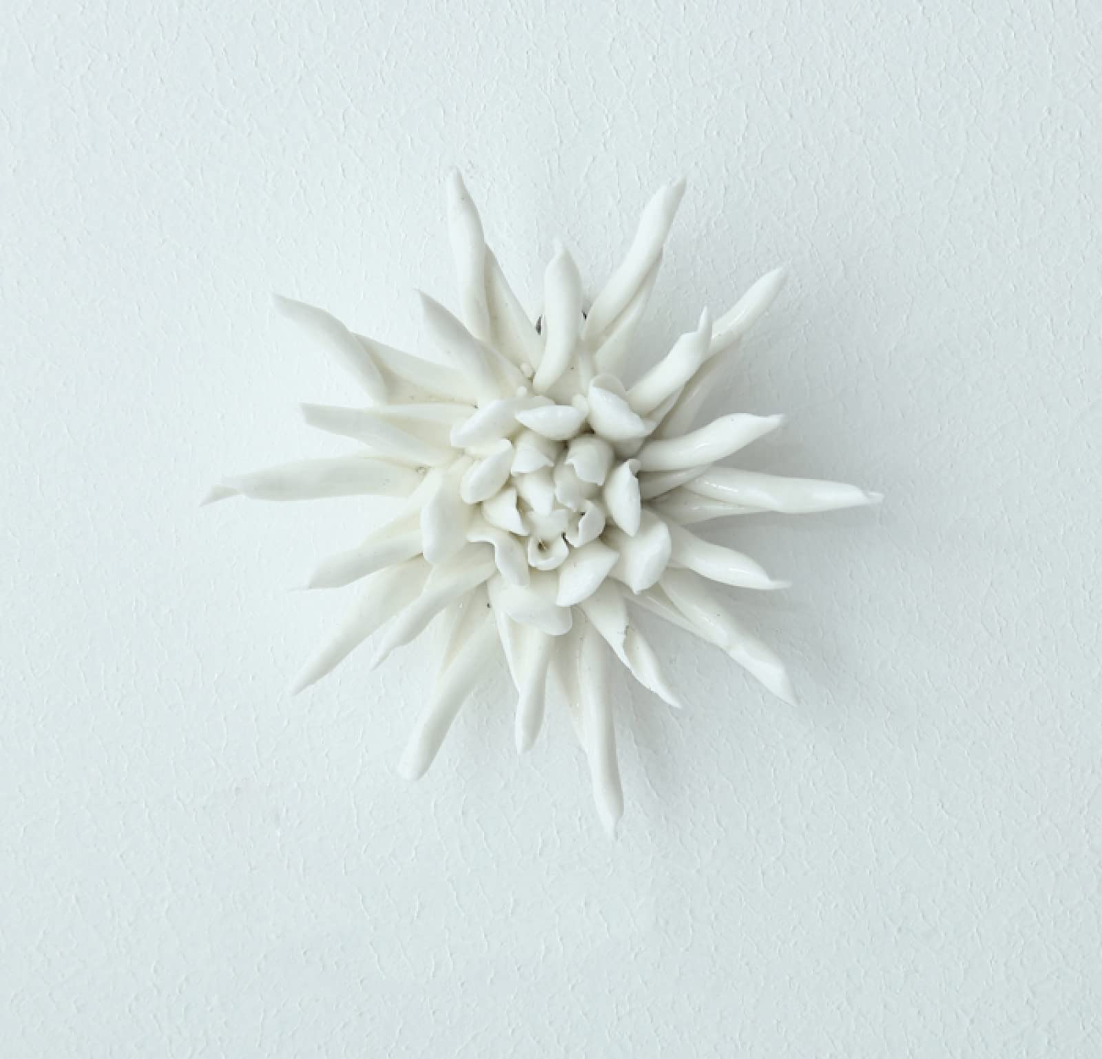 KJOLWHCQ Elegant Handcrafted Ceramic White Epiphyllum Flower Wall Hanging Decor Flowers Artificial Sculpture 3D Wall Ornament Arts Wedding Gift(12cm (4.7inch))