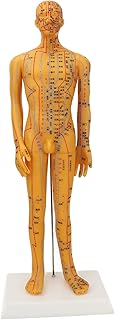 53cm Human Body Acupuncture Model, Male Pressure Point, Chinese Medicine Teaching Acupoint Mannequin Pressure Point Acupuncture Model
