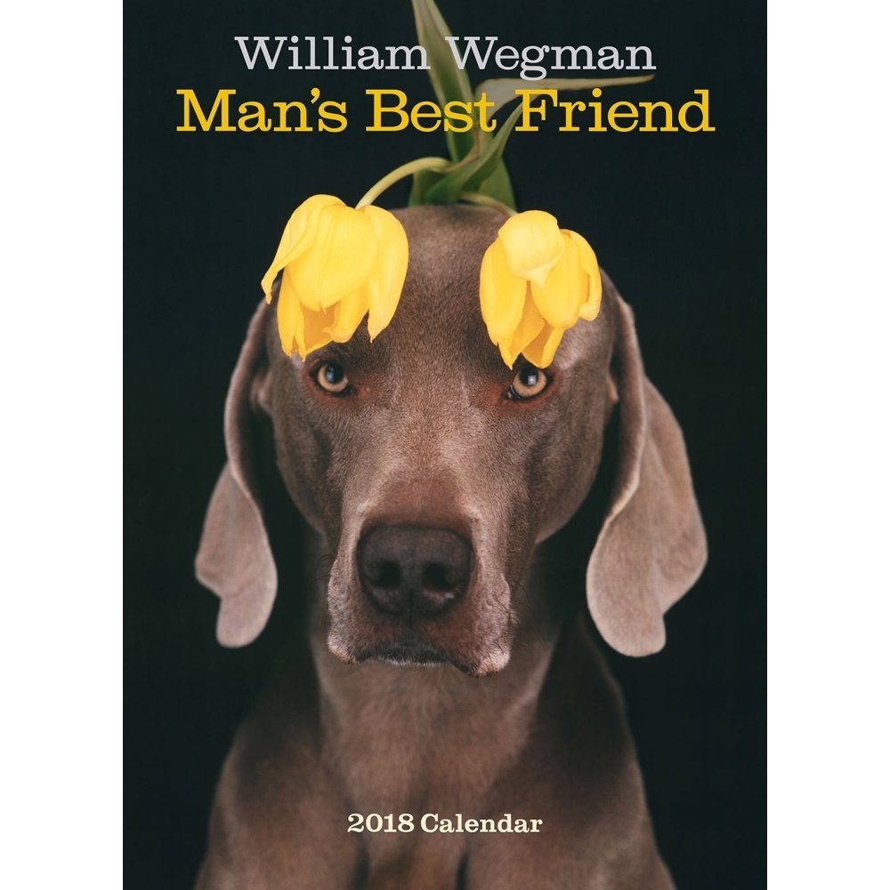 William Wegman Man's Best Friend 2018 Wall Calendar