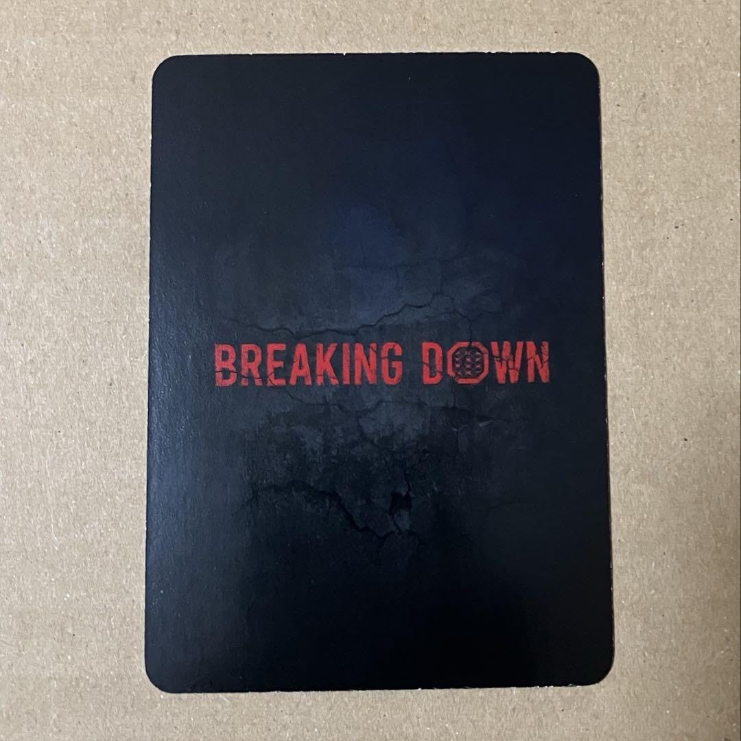 ブレイキングダウン　ライセンスカード Amazon.co.jp: ブレイキングダウン14 溝口勇児 トレカ 来場者特典