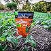 Antler King Slam Dunk Hunt Plot Attractant