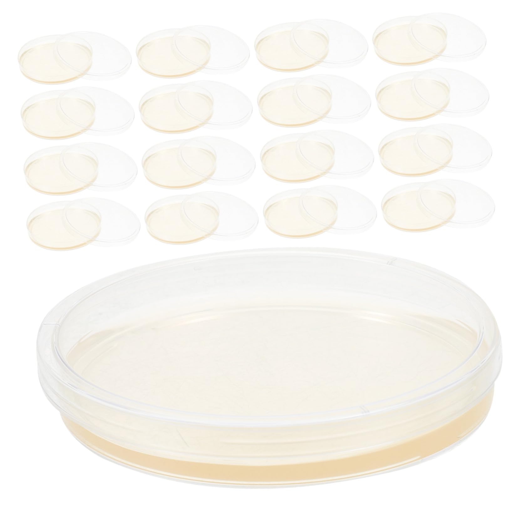 Placas de Petri de Agar Lb 9cm, 20 Pcs, Ps, Redondas | Prevertidas y Estériles, para Cultivo Microbiano y Laboratorio Escolar, Crecimiento Estable