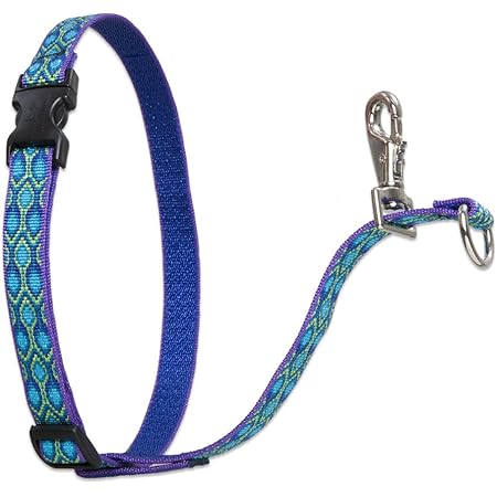 lupine no pull training harness
