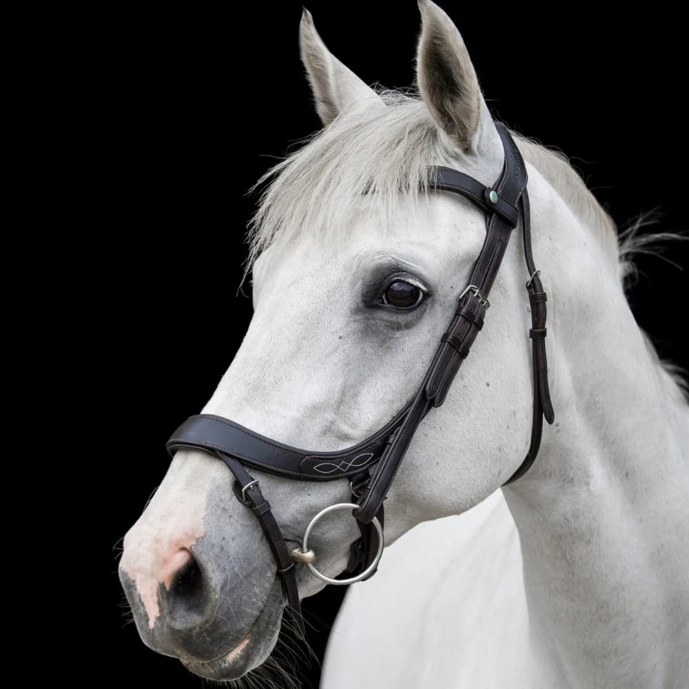 ECO Rider Freedom Comfort Bridle X-Full Brown