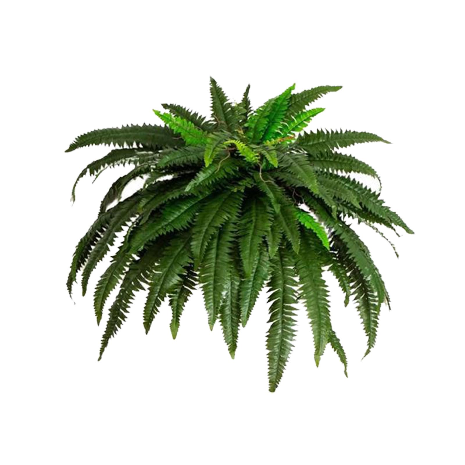 Limtula Beautiful Artificial Green Fern Leaves Arrangement Realistic Plant for Shelf Desktop or Wall Mounted Decoration Plant Wall Arrangement