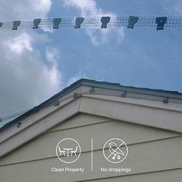 Bird-X Standard Bird Netting, Ideal for Gardens and Lightweight Applications, UV-Stabilized Mesh Netting with 3/4 Hole Opening, Easy to Install, 200' x 14'