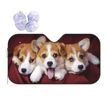 ウェルシュコーギー 額付プリント アメリカン シリアルナンバー付き ウェルシュコーギー 額付プリント アメリカン シリアルナンバー