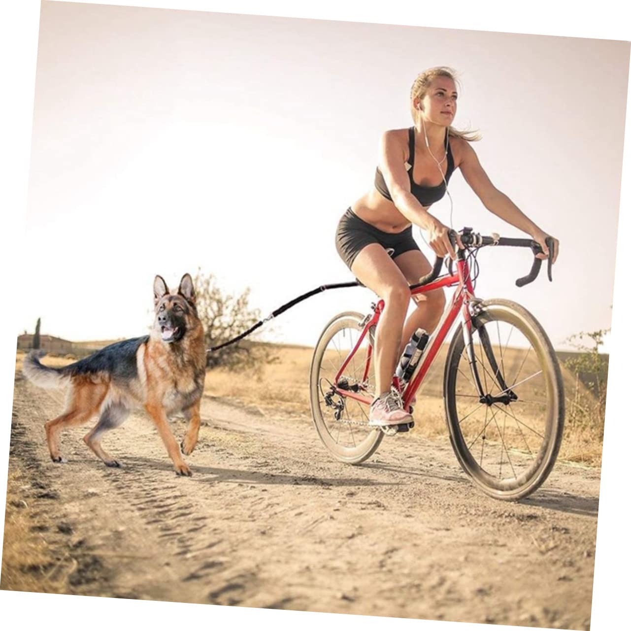 Gatuida Laisse de Vélo pour Chien Attache Réglable sans Fil pour Entraînement et Promenade