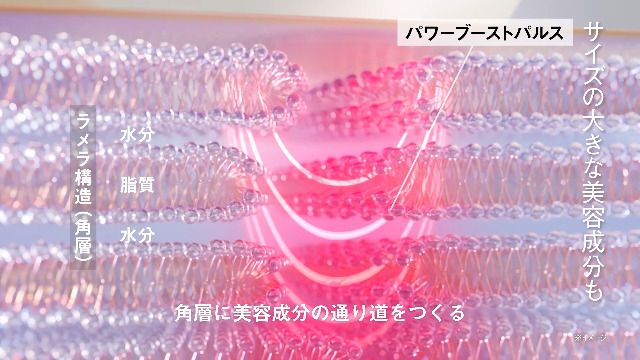Amazon.co.jp: パナソニック イオン美顔器 イオンブースト マルチ EX