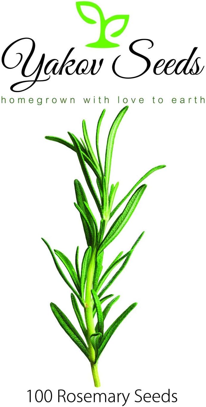 Rosemary (80 seeds )