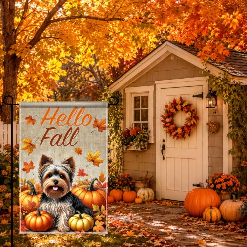 Image of BlissYard Hello Fall Yorkie Garden Flag Dog Pumpkin Decor 12x18 Inch | Double sided polyester, Yorkie pumpkin artwork, playful farmhouse charm for Thanksgiving porch and yard displays