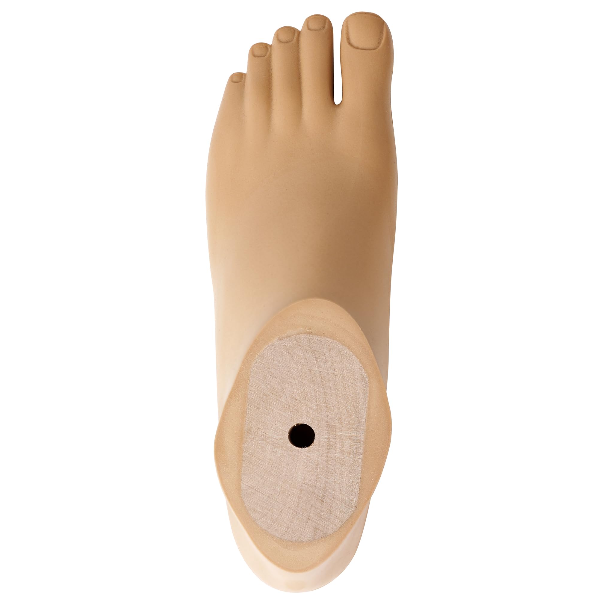 Pie protésico SACH con dedo dividido - Color beige, tallas 20-30 cm, rosca M10 (Pie izquierdo,Beige,28CM)