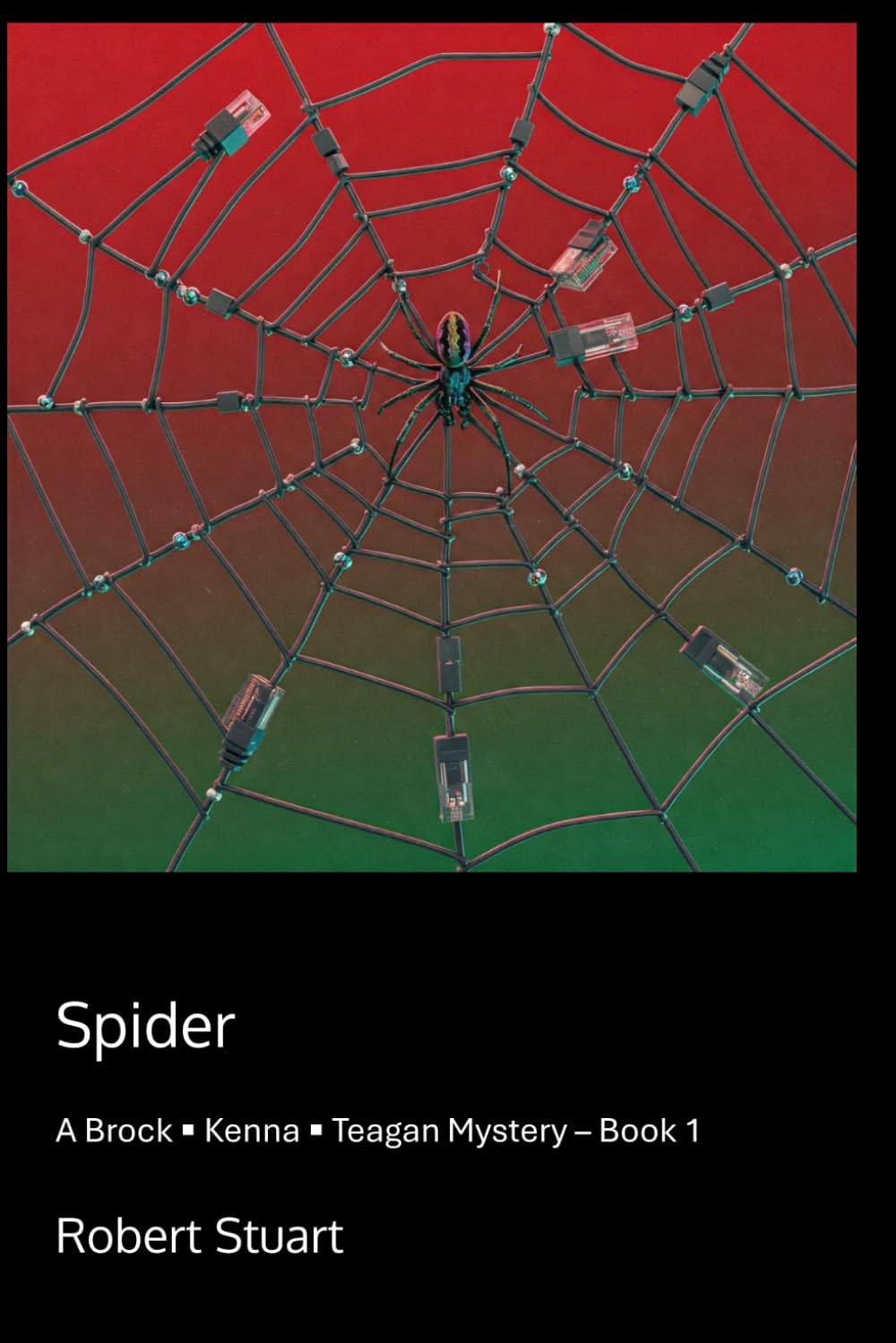 Spider: A Brock Kenna Teagan Mystery Book 1