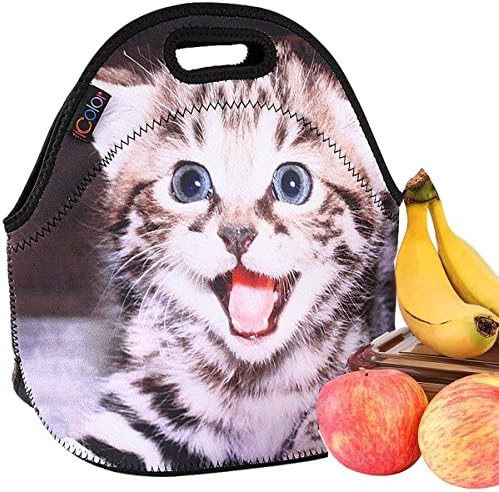 icolor Neoprene Lunch Bag Cat, Insulated Lunchbo Thermal Lunch Tote Bag Water Resistant Lunch Box & Food Container Great for Travel, Outdoors,Work & More Food Storage Cooler