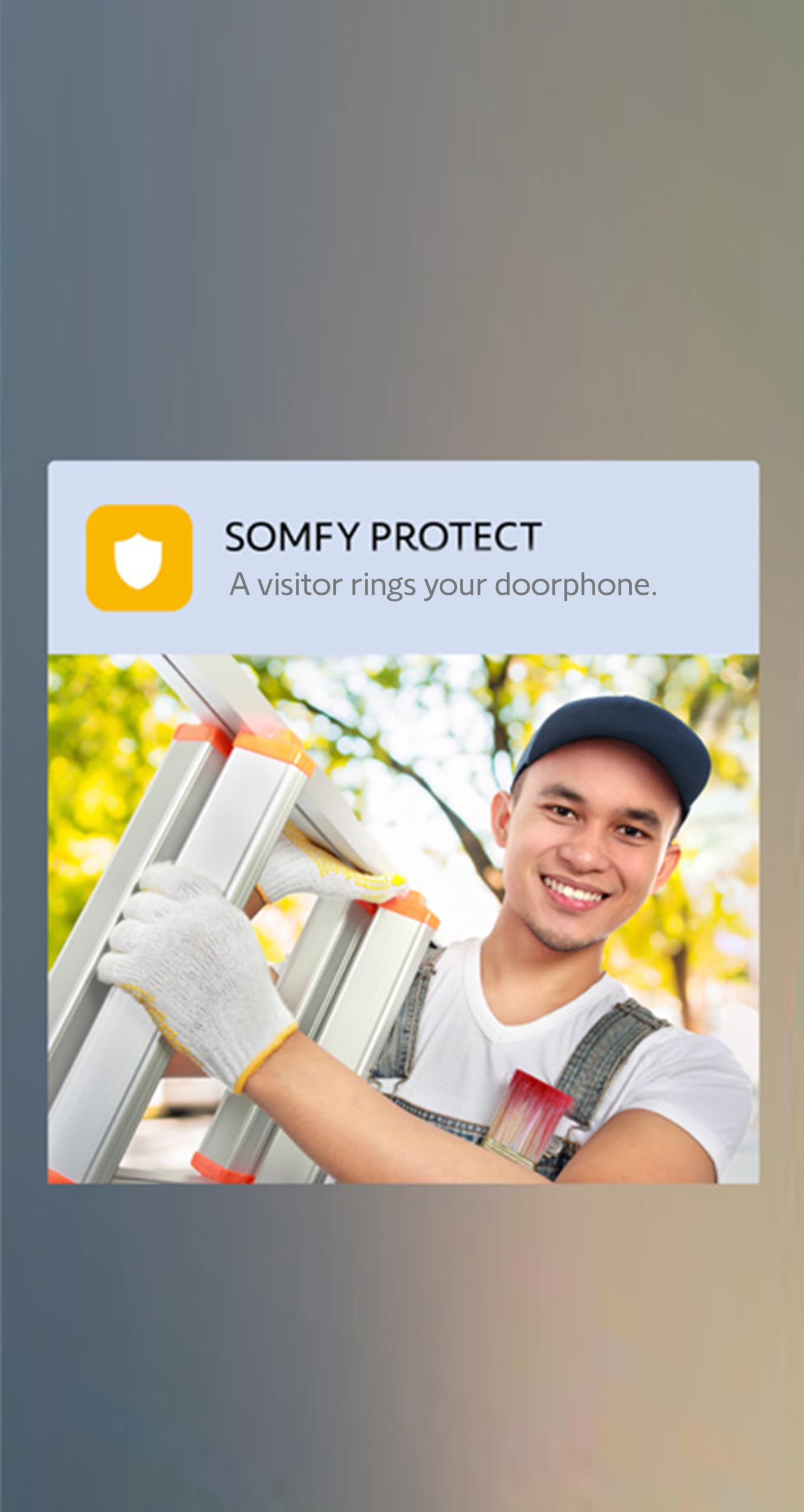Somfy 1871229 – Videocitofono V350 Connect | Citofono connesso | Schermo da 7 pollici | Visione notturna | Gestione delle visite remote tramite l'app Protect | Controllo fino a 5 apparecchiature