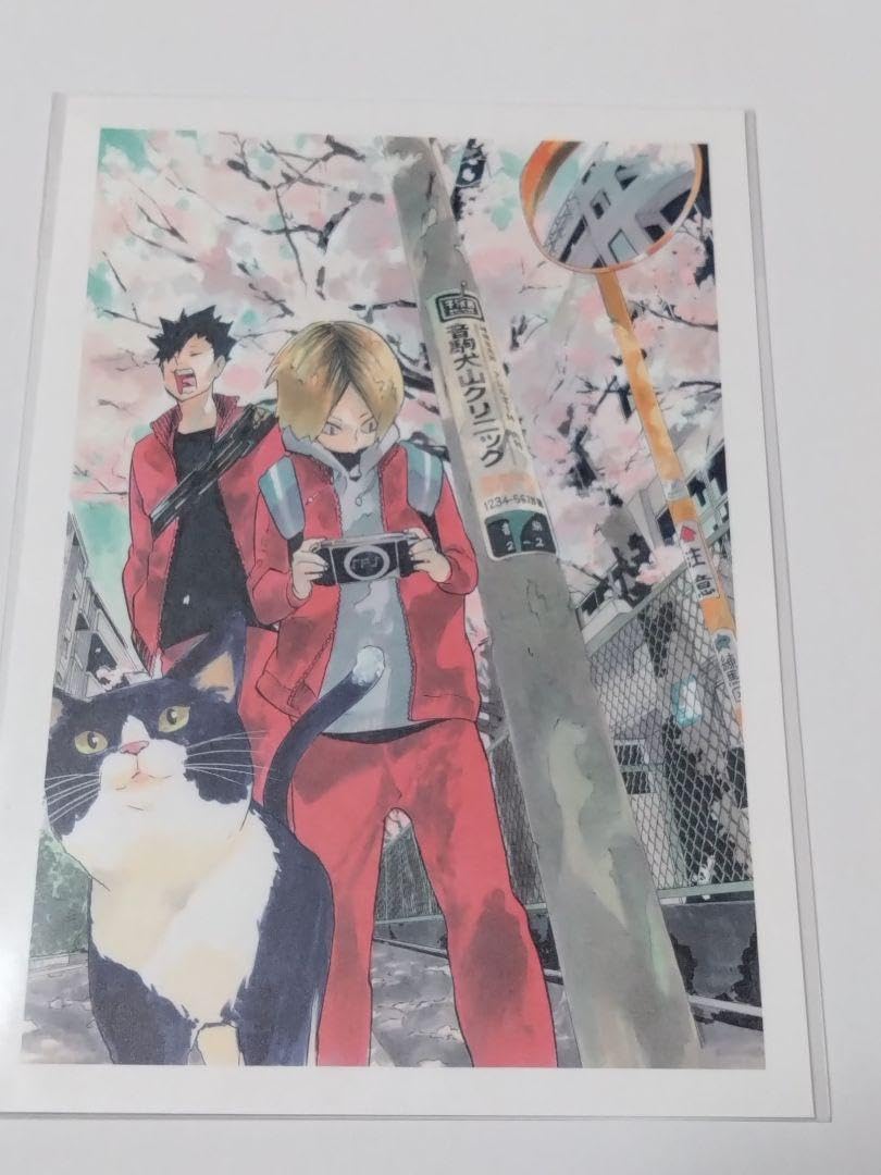 ハイキュー ハイキュー展 ポストカード 孤爪研磨 黒尾鉄朗