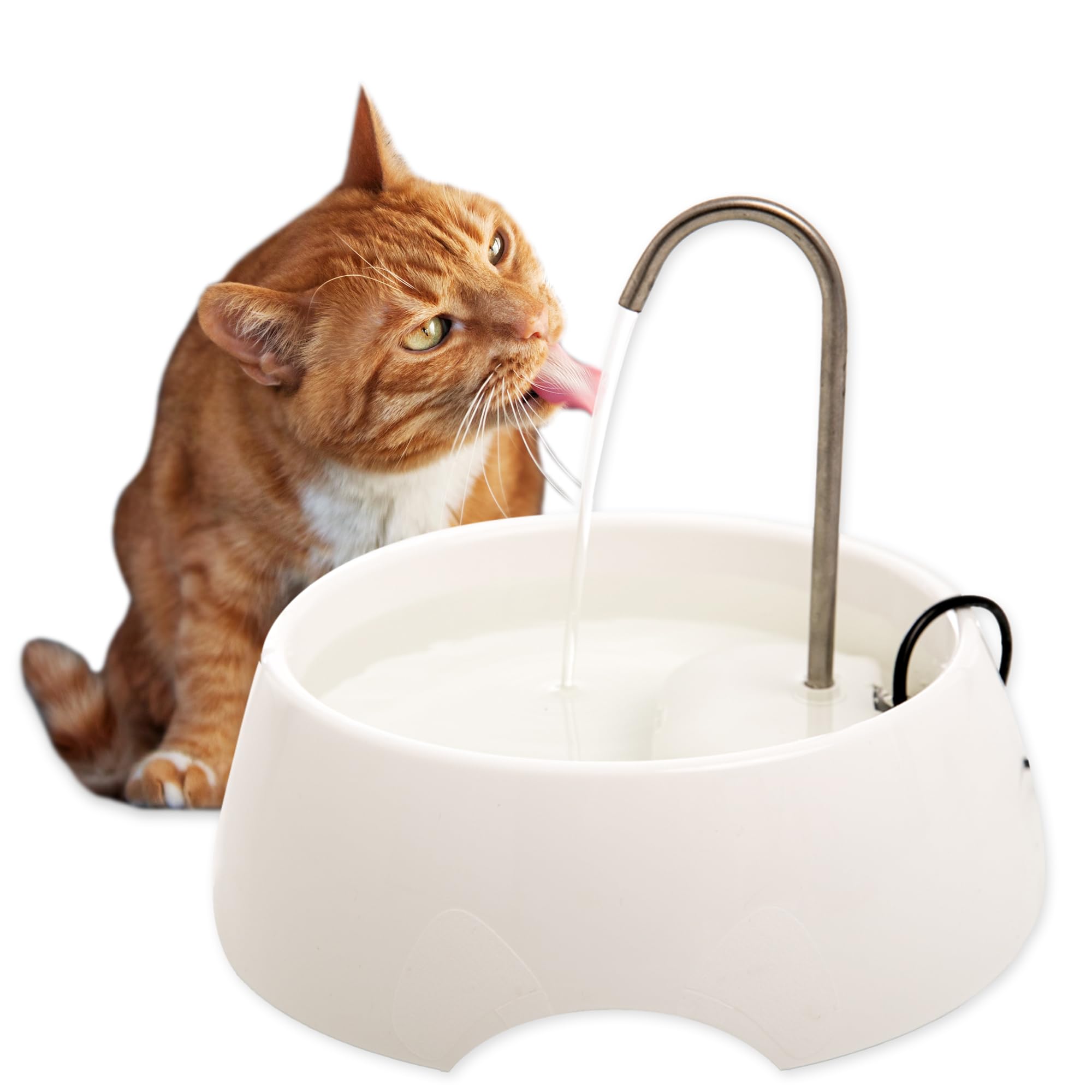 Aqua MINI Portable Pet Water Fountain - Automatic Drinking Bowl for Cats and Dogs - Stainless Steel Faucet - Replaceable Filters - Easy Cleaning - Ideal for Multiple Pets - 1.2L/42 fl oz - White