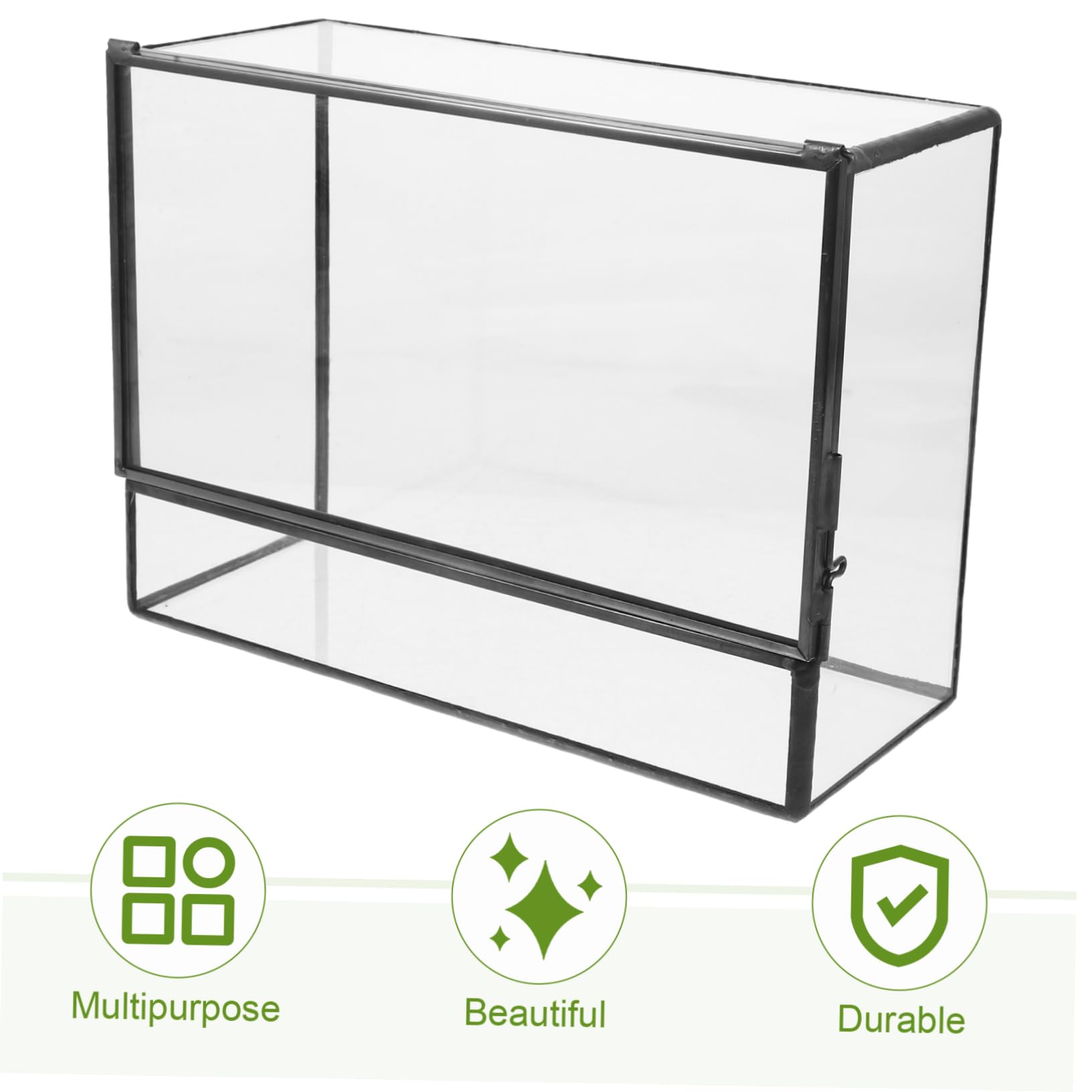 Terrario in Vetro per Micro Paesaggio, Contenitore Decorativo