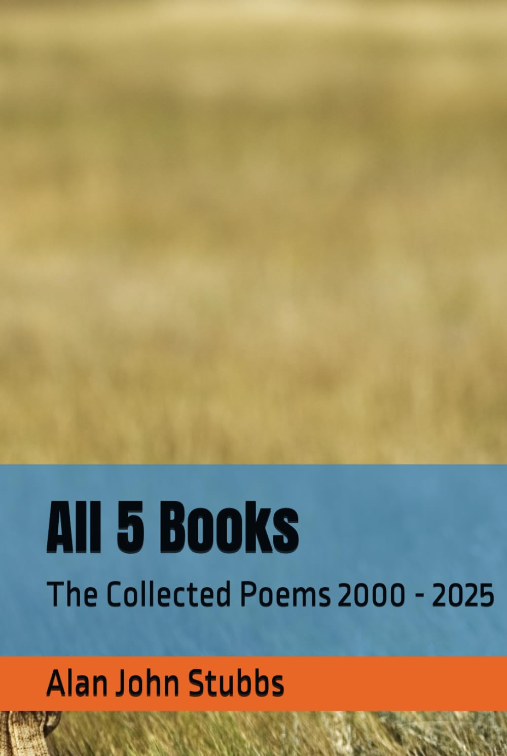 All 5 Books: The Collected Poems 2000 - 2025
