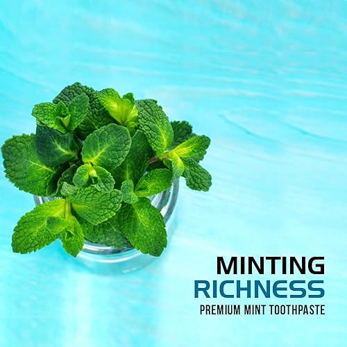 Miniatura 4 de Bentodent - Pasta de dientes natural para familia, incluyendo niños, aliento fresco, eliminación de placa mediante cepillado (Menta)