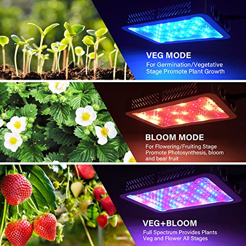 Image of Beelux 1000w LED Grow Light for Indoor Plants Full Spectrum, Upgrade Dual Chips and Dual Switch Plant Grow Lights for Seed Starting Veg and Flower Greenhouse (Actual Power 100W=1000W HPS)