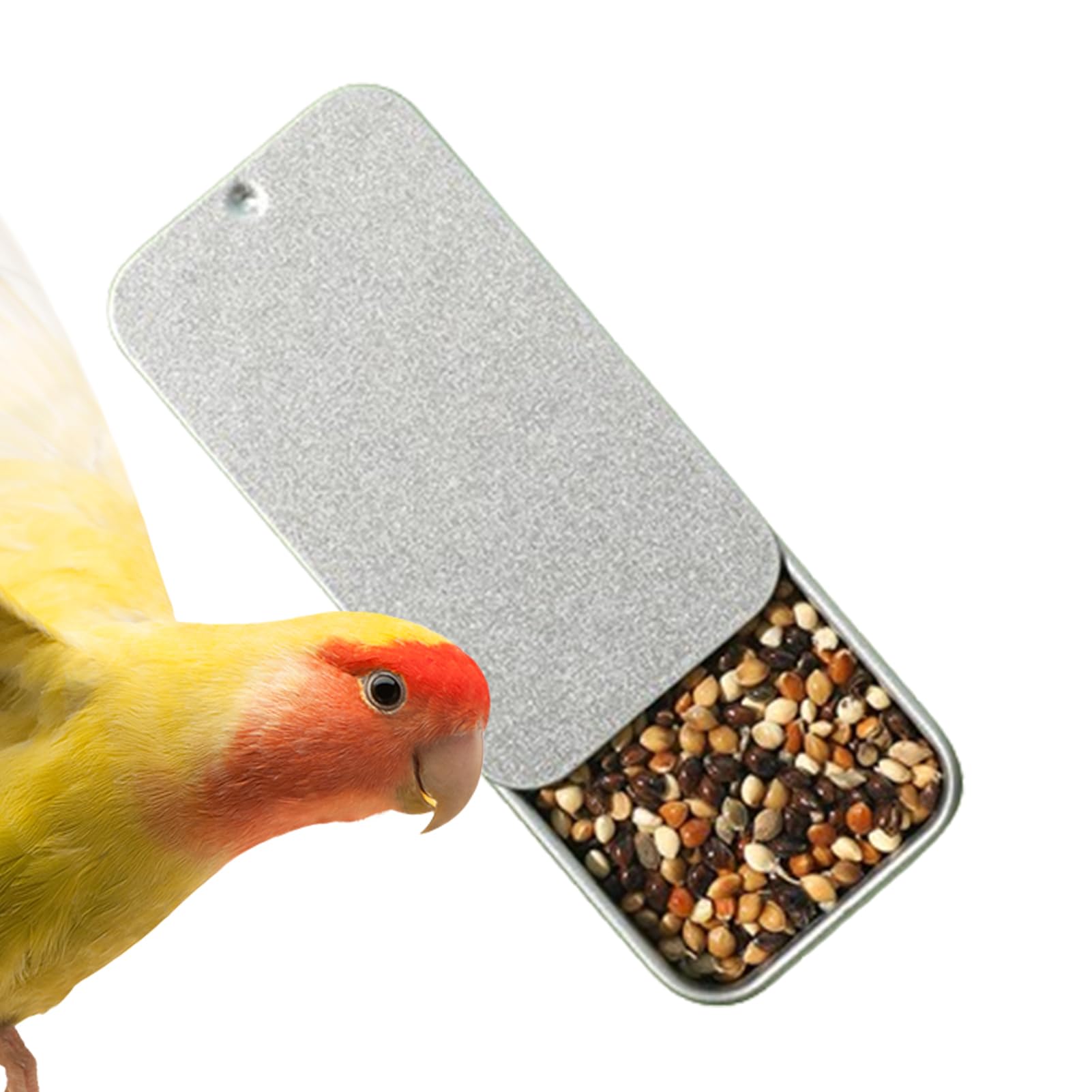 Fournitures Pour Oiseaux Mangeoire Pour Perroquet Avec Accessoires De Cage Pour Perruche