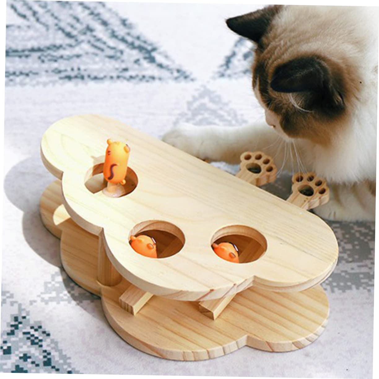 WOONEKY Holz Katzenspielzeug Interaktiv Leichtgewichtig Langlebig mit Glatter Oberfläche und Katzenminze Fach Lustiges Lernspiel für Haustiere Fördert Katzenbeschäftigung Zufällige Farbe