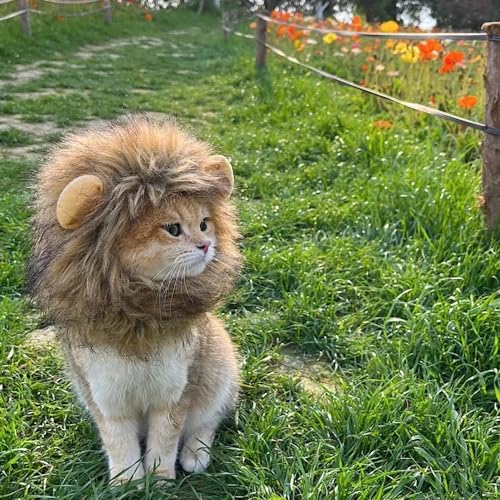 Qaoliffa Peruca de juba de leão para gatos, fantasia de Halloween de gato, peruca de juba de leão, a
