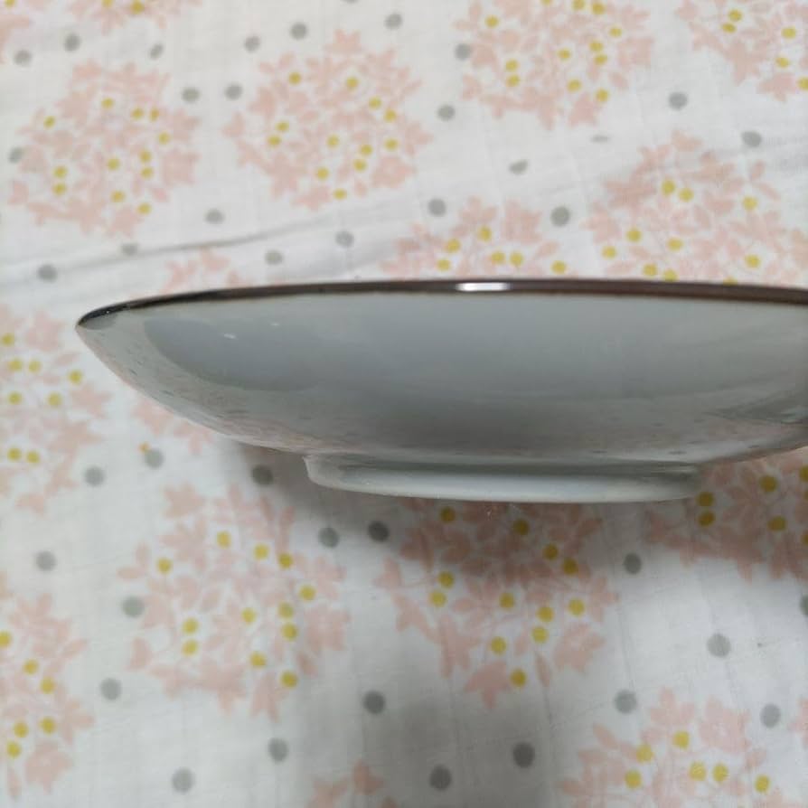 有田焼【肥前哲三郎窯】（大皿・中皿・小皿）11枚セット【最終価格】 有田焼【肥前哲三郎窯】（大皿・中皿・小皿）11枚セット【最終