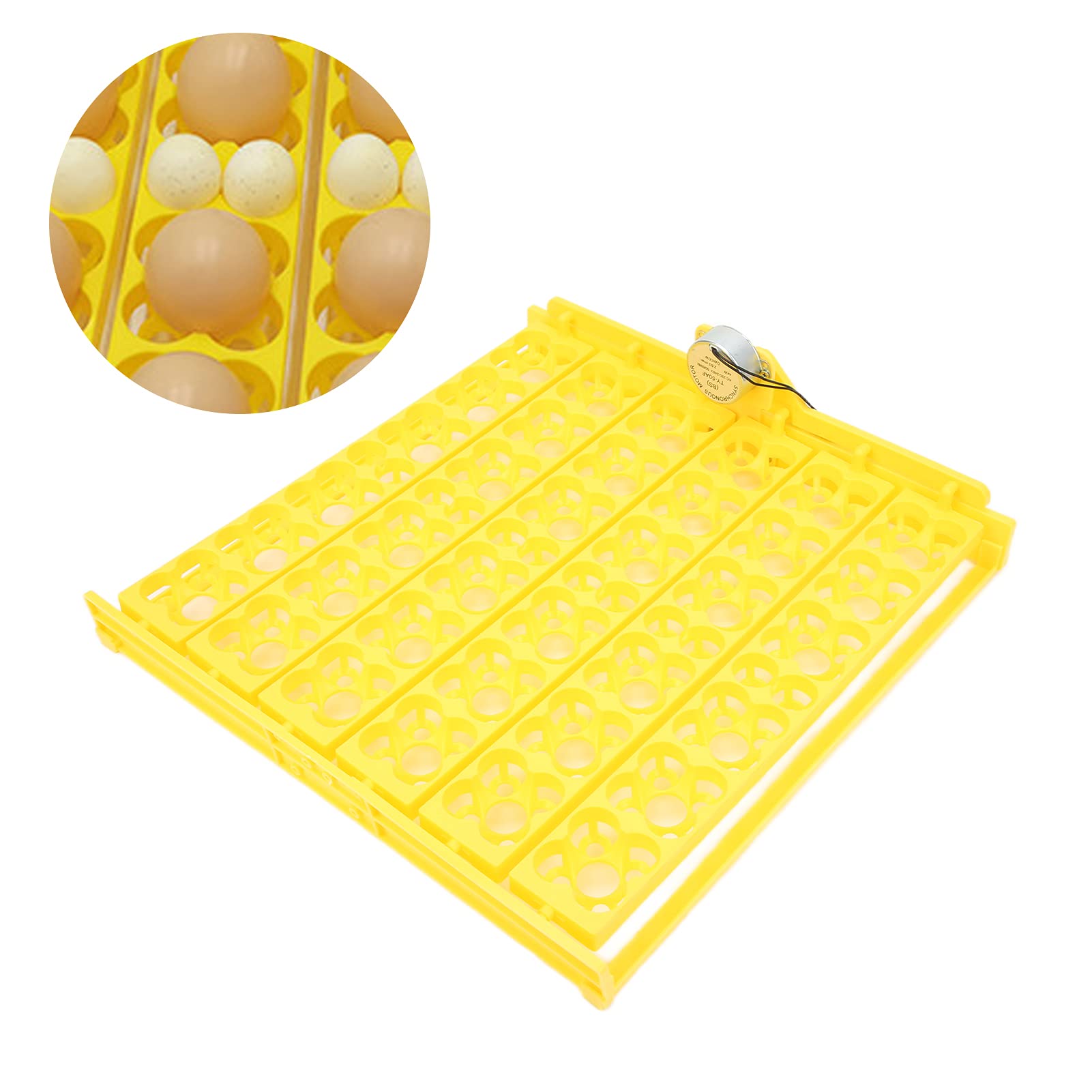 Bandeja giratoria automática para huevos Mini incubadora incubadora Bandeja giratoria automática para huevos Herramienta giratoria para huevos con motor para pollo, pato, huevo de codorniz[220 V]