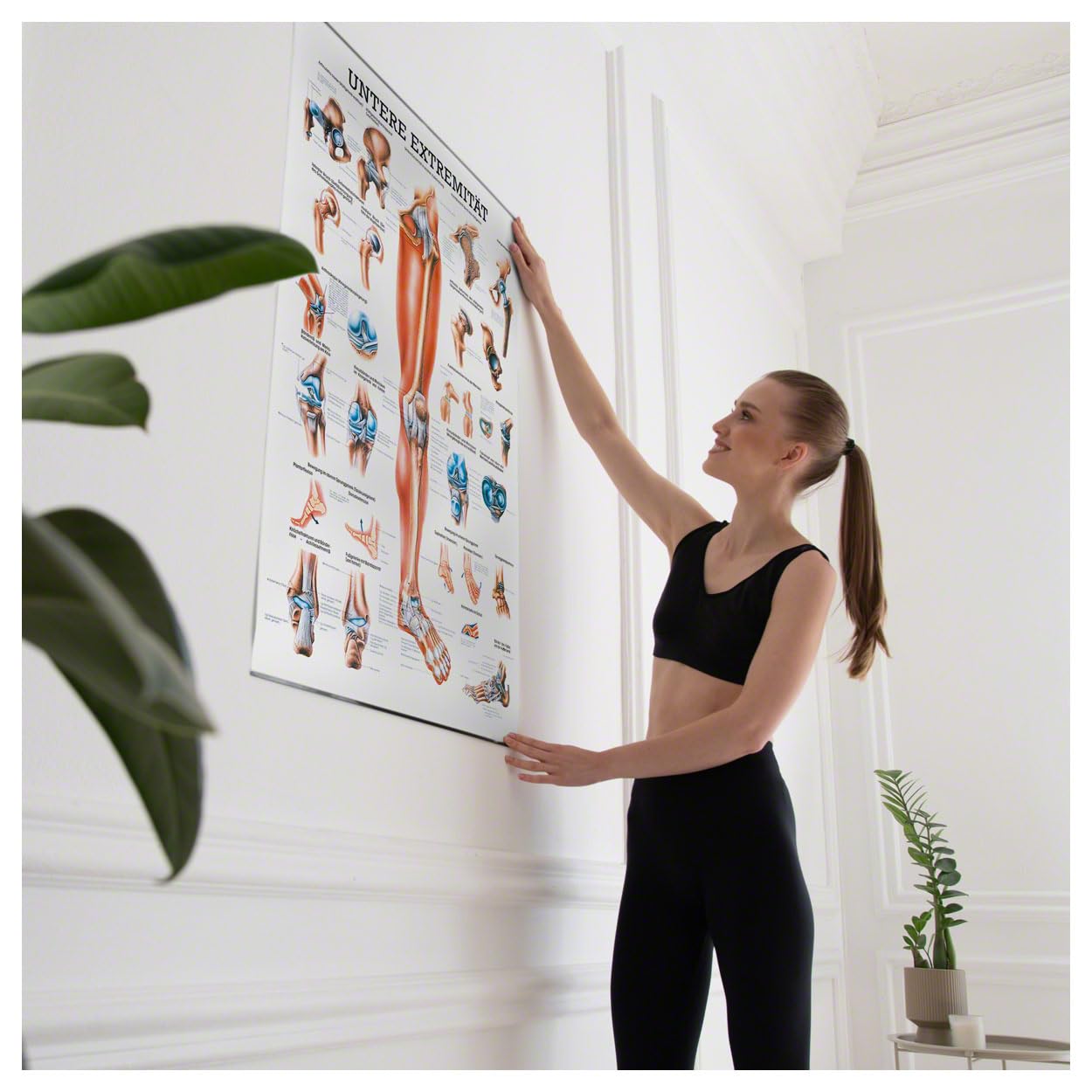 Rüdiger Untere Extremität Lehrtafel Anatomie 100x70 cm medizinische Lehrmittel