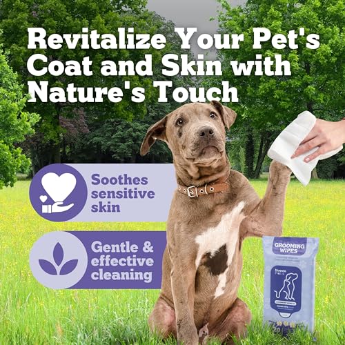 Pets XL Lavender Vanilla Pet Wipes-Deodorizing No Bath Cleaning for Dogs & Puppy Grooming | Ear, Face, Butt, Paw Wet Wipe | Enriched w/Aloe, Chamomile, Oat Amino Acids | Healthier Coat & Skin Pets XL Lavender Vanilla Pet Wipes-Deodorizing No Bath Cleaning for Dogs & Puppy Grooming | Ear, Face, Butt, Paw Wet Wipe | Enriched w/Aloe, Chamomile, Oat Amino Acids | Healthier Coat & Skin