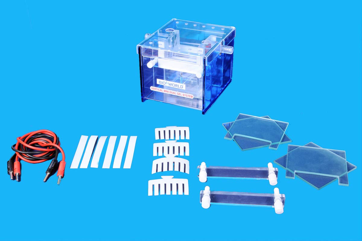 BIO WORLD BIO 05-02 (VERTICAL PROTEIN MINI DUAL GEL SYSTEM Gel Size : 80x70mm)