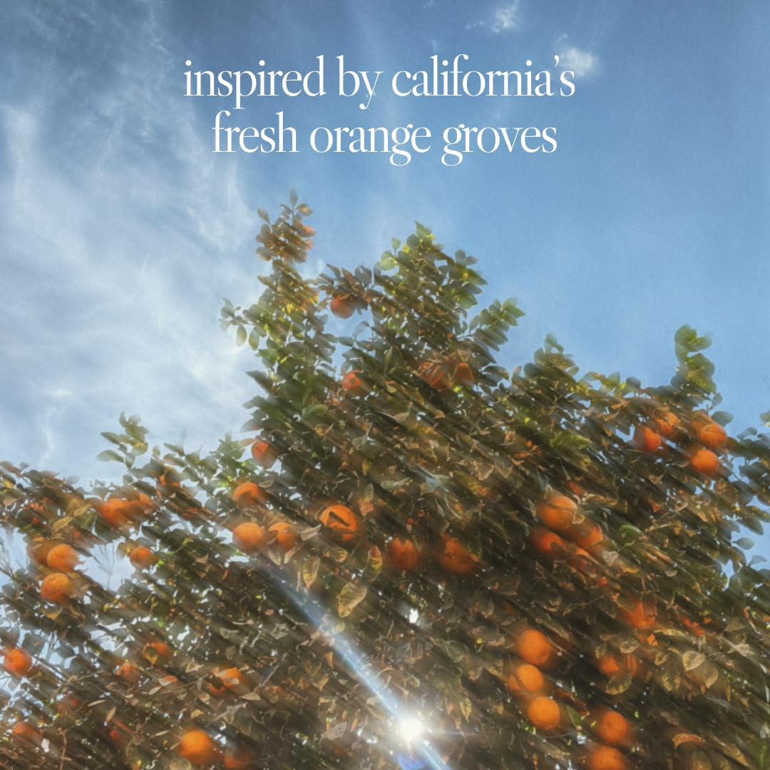 Noteworthy n,307 Sunlit Grove Eau De Parfum – Mandarin, Basil, Sandalwood | Sophisticated, Warm Fragrance for Any Occasion | Long-lasting Unisex Perfume for Women & Men (100ml) - Image 5