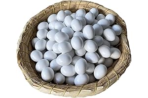 Huwaimi 15PCS Solid Eggs for Dummies