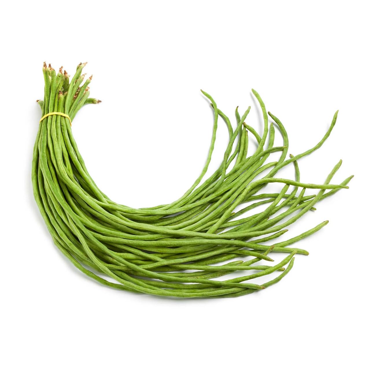 Beansページ Amazon.com : 30+ Yard Long Bean Seeds – High Yield Asian