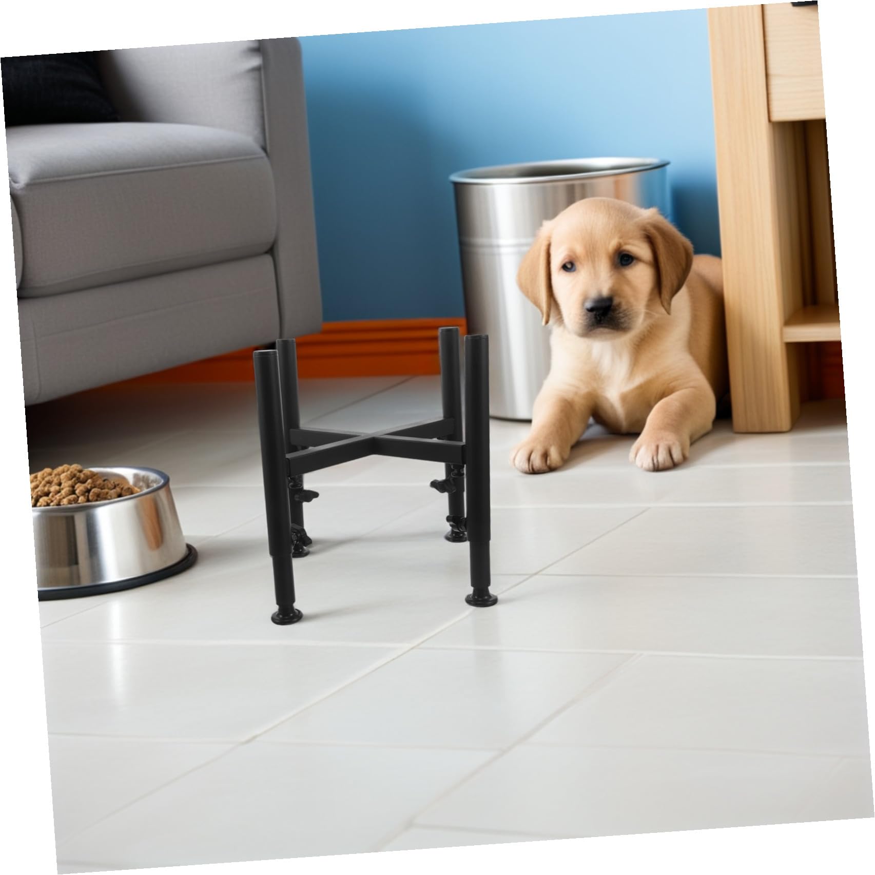DOITOOL Support Diamètre en Gamelle Chien Acier Surélevé pour Inoxydable de Réglable 6,3-10,2″ Hauteur Ergonomique et Ajustable pour Usage Quotidien en Foyer Actif