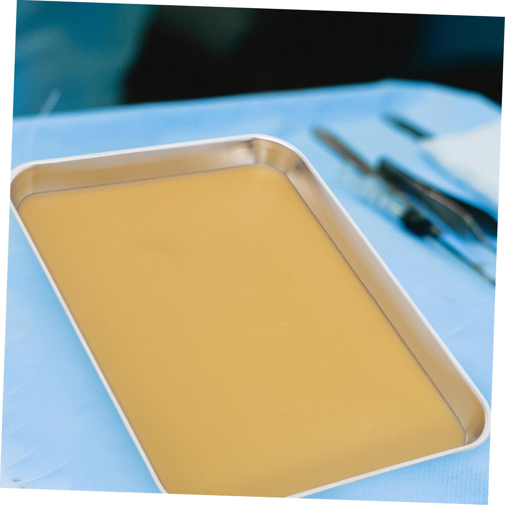Hemobllo Plateau De Dissection Acier Inoxydable Avec Revêtement Cire Pour Laboratoire Plateaux De Dissection Pour Étudiants Et Rangement